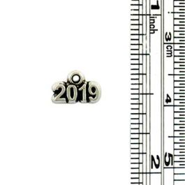 2019 Year Charm (±2mm L x 14mm W x 9mm D;  Hole -1.5mm-;  1D)