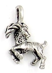 Capricorn (±13x17x3mm; -2mm-;3D)   *