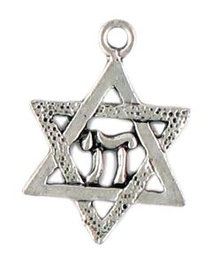 Wholesale Star Of David with Chai Symbol Charms.